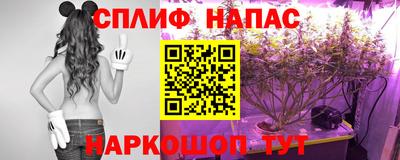 индика Будённовск