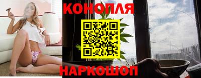 индика Будённовск