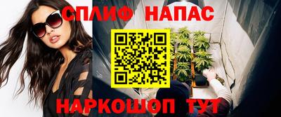 индика Будённовск