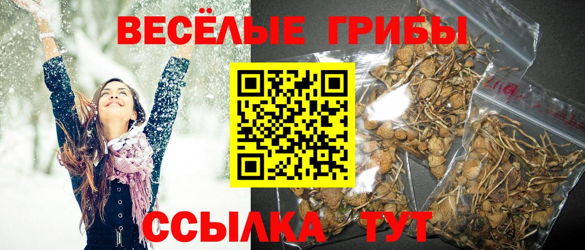 Галлюциногенные грибы мицелий Набережные Челны