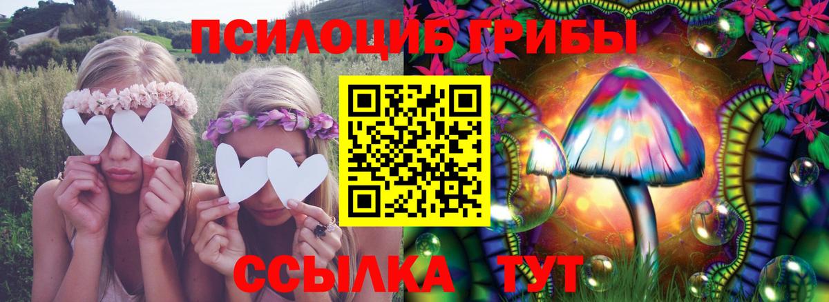 купить наркотики сайты  Псилоцибиновые грибы MAGIC MUSHROOMS  Вход с VPN  Набережные Челны 